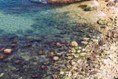 色彩斑斓的岩石绿色莫斯浅海水背景
