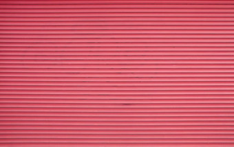 粉红色的生动的水平辊快门百叶窗