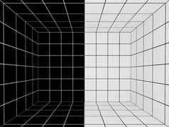 黑色的白色空间的角度来看网格