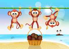 猴子海滩