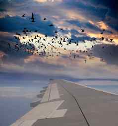 云鸟视图翼飞机