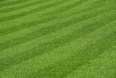 绿色新鲜的草草坪上足球场