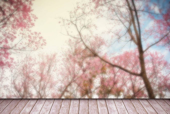 空的角度来看木模糊美丽的樱桃花朵散景背景产品显示蒙太奇