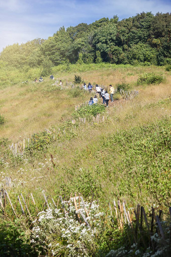 游客走草地山<strong>英国皇家</strong>植物园美锅传讲