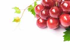 特写镜头成熟的红色的葡萄叶白色背景水果治愈