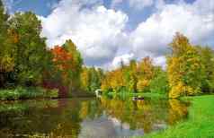 风景如画的视图秋天池塘