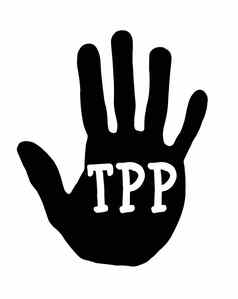 手印TPP