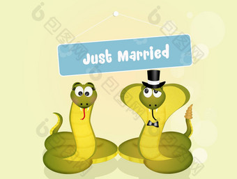 婚礼蛇