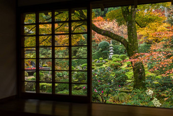 日本房子秋天景观