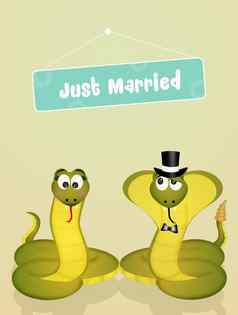 婚礼蛇