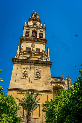 贝<strong>尔</strong>塔mosque-cathedralmezquita<strong>科尔多瓦</strong>