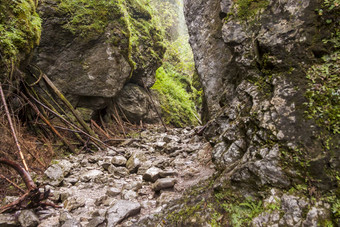 峡谷克拉科夫塔特拉山国家公园波兰