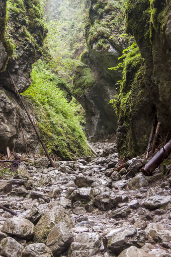 峡谷克拉科夫塔特拉山国家公园波兰