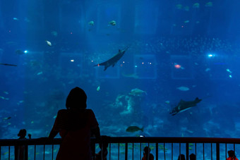 水族馆