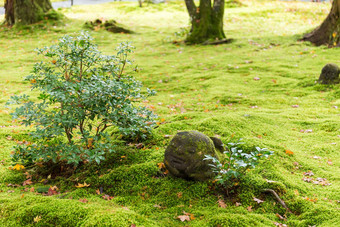 日本雕像sanzenin瓦拉贝Jizo