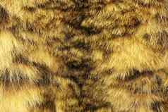 色彩斑斓的纹理雪豹皮毛