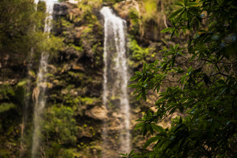 双胞胎瀑布瀑布位于斯普林布鲁克国家公园