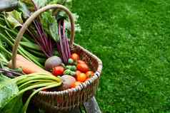 编织篮子填满新鲜收获蔬菜