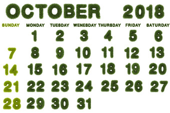 日历10月白色背景呈现绿色