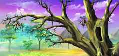 非洲树大空心紫色的天空