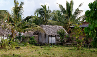 非洲马达加斯加语小屋马鲁安塞特拉地区马达加斯加