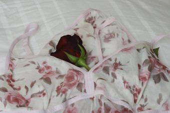 印刷女士们的内衣玫瑰