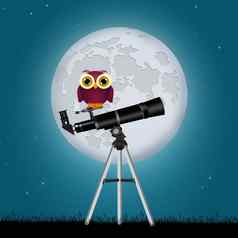 有趣的猫头鹰望远镜
