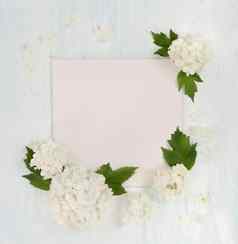 剪贴簿页面白色花