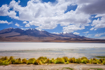 拉古纳本田南部利佩兹Altiplano珍藏玻利维亚