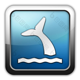 图标按钮pictogram鲸鱼