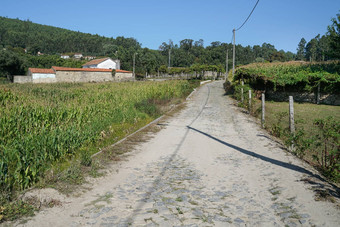 朝圣者小道<strong>道路</strong>圣地亚哥葡萄牙