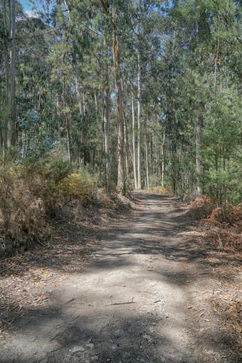 朝圣者小道道路圣地亚哥葡萄牙