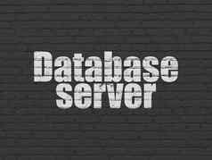 数据库概念数据库服务器墙背景