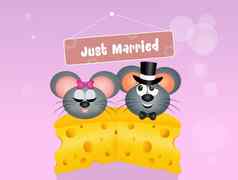 婚礼老鼠