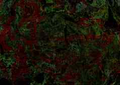 绿色红色的绘画大理石花纹大理石纹理油漆spl