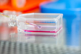 细胞文化瓶无菌罩实验室