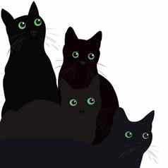 黑色的猫绿色眼睛白色背景