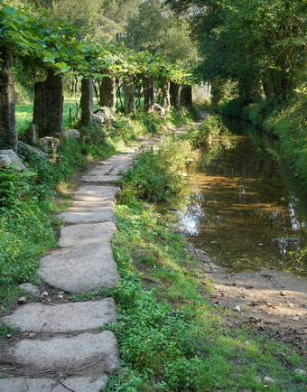 朝圣者小道道路圣地亚哥西班牙