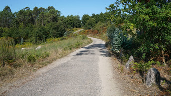 朝圣者小道道路圣地亚哥西班牙