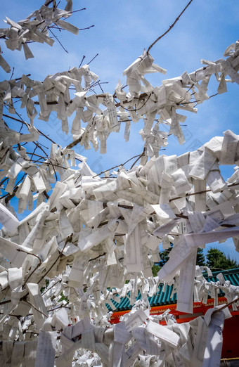 Omikuji树平安时代的神宫神社寺庙《京都议定书》日本