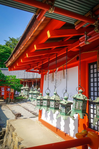 <strong>春日</strong>大社神社寺庙奈良日本