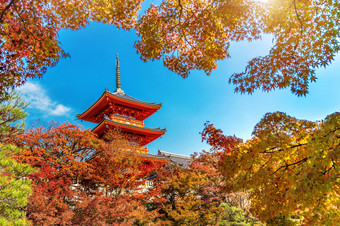 清水寺秋天《京都议定书》日本