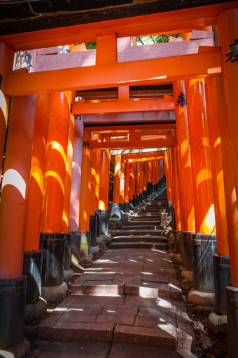 伏见inari大社鸟居《京都议定书》日本