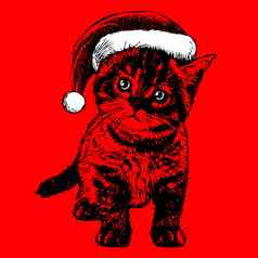猫小猫圣诞节圣诞老人他