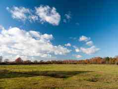 白色云蓝色的开放天空空间绿色草土地农场