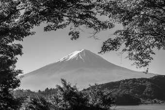 山富士早....光红色的枫树叶子隧道