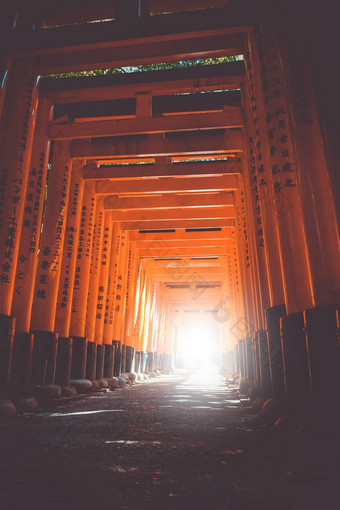 伏见inari大社鸟居《京都议定书》日本