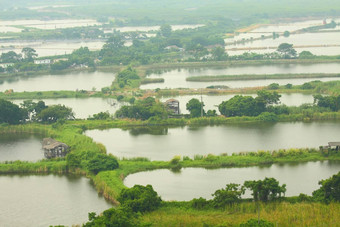 钓鱼池塘湿地区域