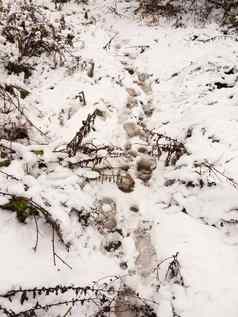 大的足迹雪地板上冬天12月路径