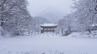 baekyangsa寺庙下降雪naejangsan山冬天雪著名的山韩国冬天景观